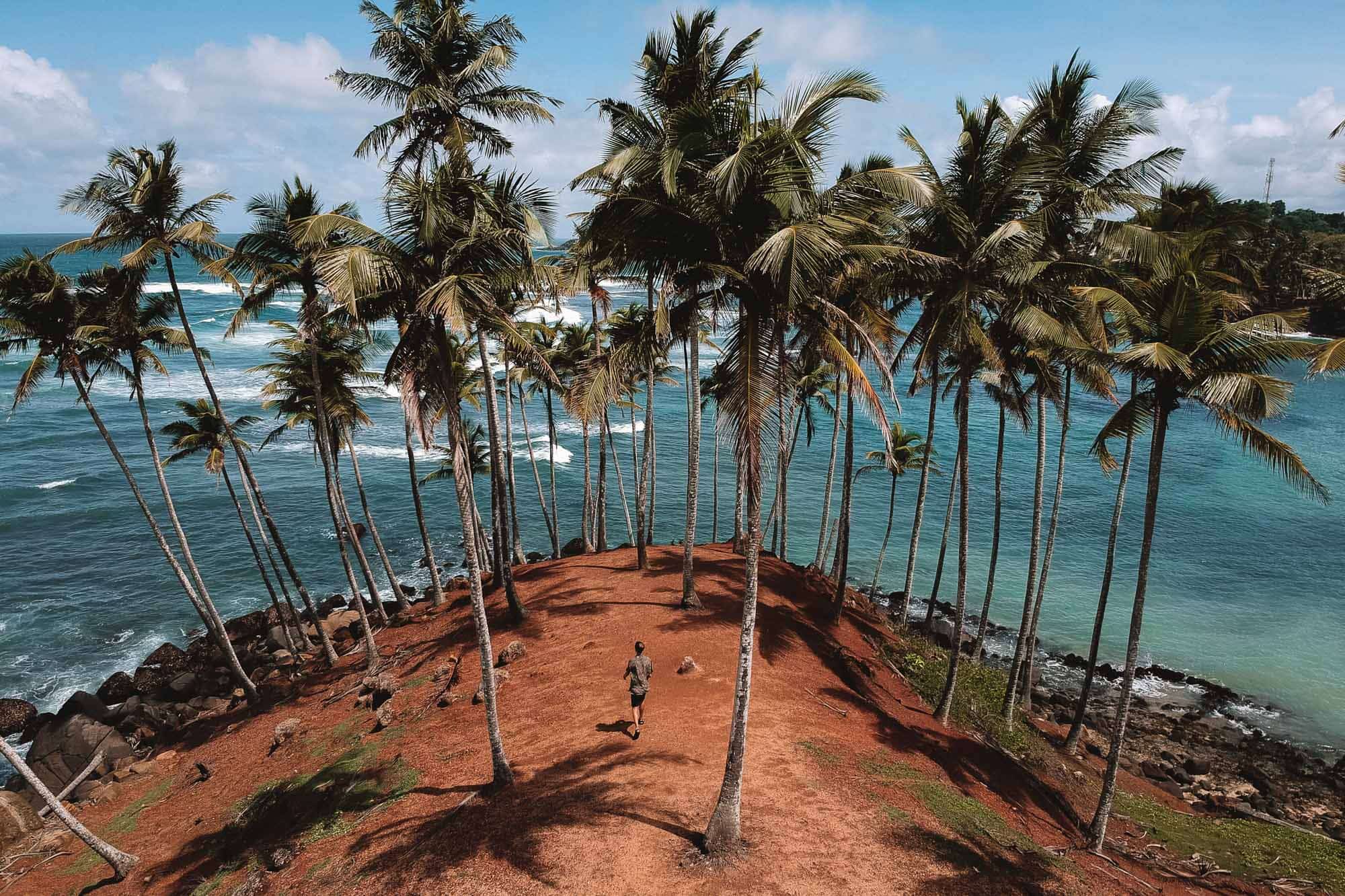 Goedkoop vliegtickets Sri Lanka boeken? 4 tips! REISJUNK