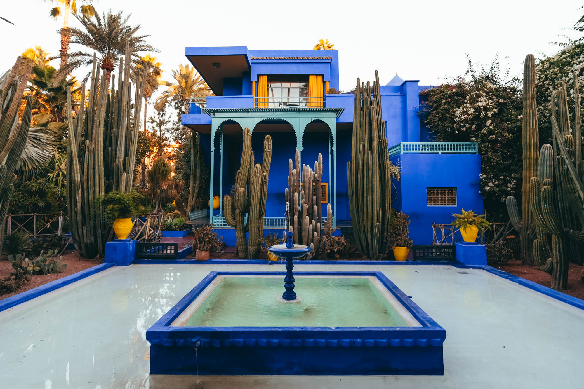 Wat te doen in Marrakech - Jardin Majorelle