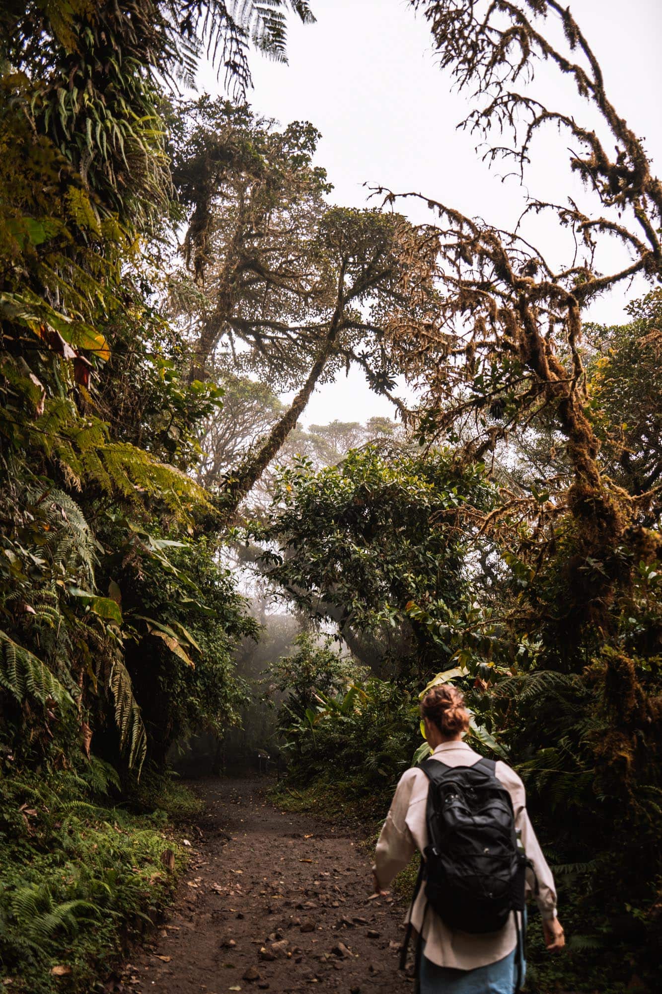 Backpacken in Costa Rica: 8 Handige tips! - REISJUNK